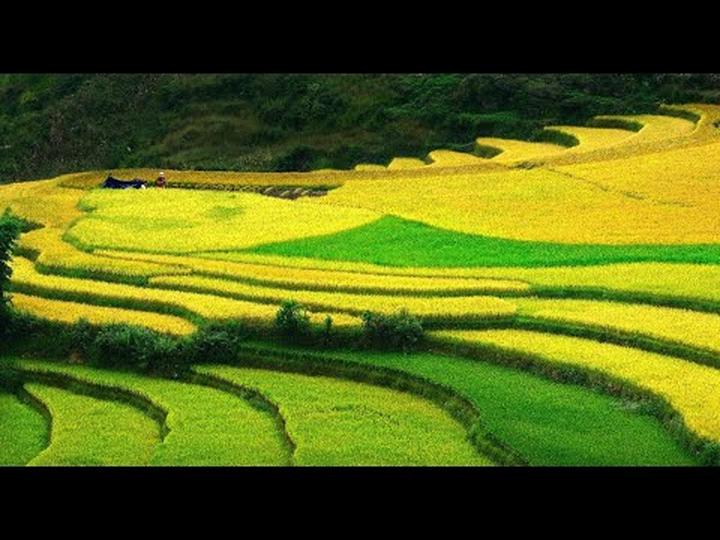 Tiểu thư chuỗi siêu thị lớn ở - Cảm hứng video marketing từ Hotspot Matrix