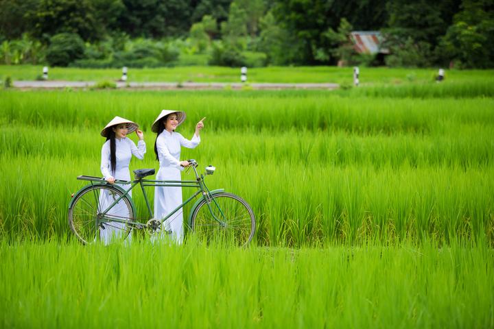 ---Bài viết 2---