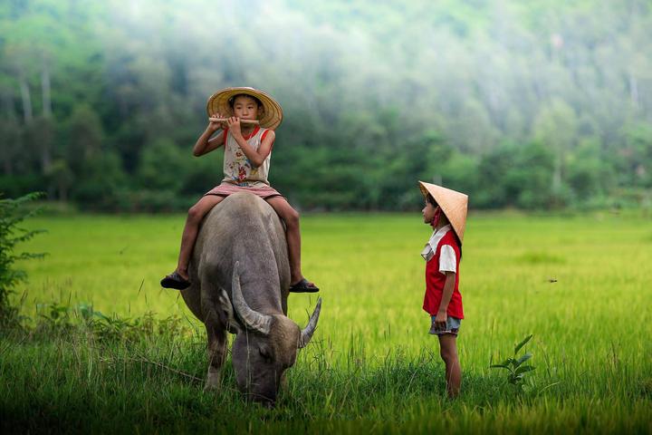 Hotspot Matrix và Nữ diễn viên có style