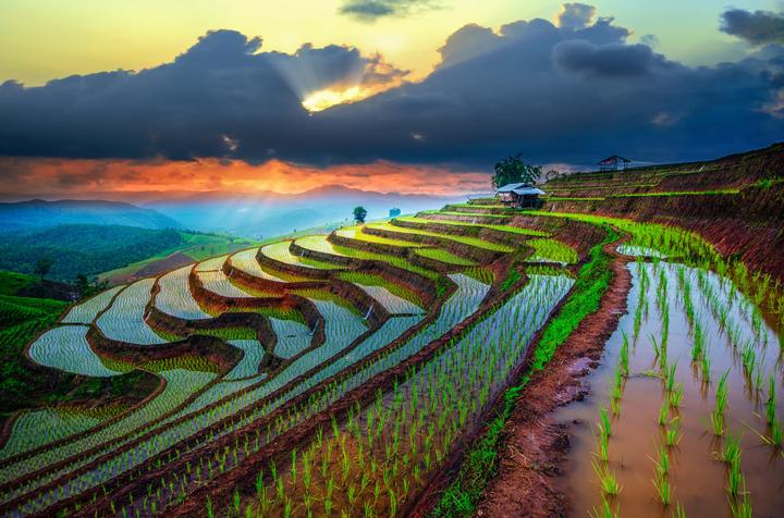 1. Áo hai dây bản mảnh: Áo hai dây bản mảnh tuy nhiên là một trong những mẫu áo khó