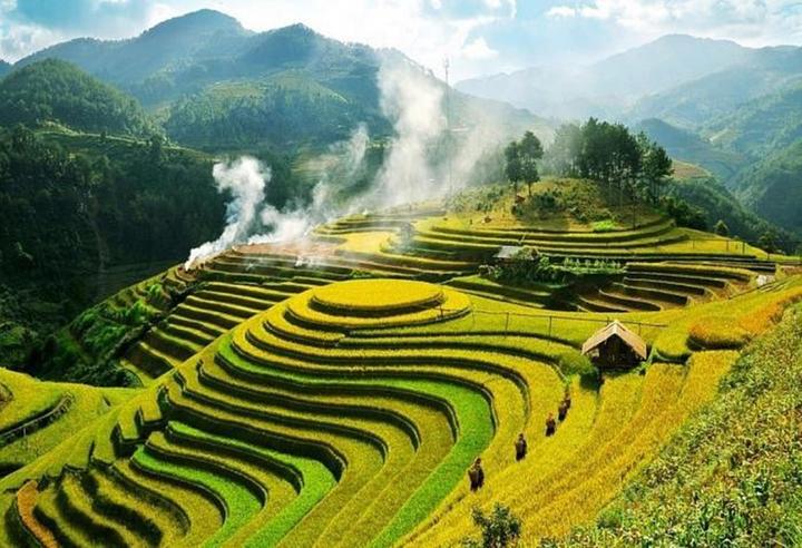 Freelancer Và Cơ Hội Kiếm Tiền Từ Nền Tảng Hotspot Matrix