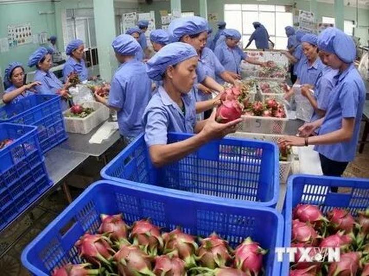 Sốc nặng với