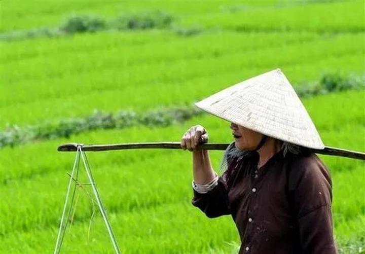 Từ 0 đến Triệu View: Chinh Phục Thị Trường Video Ngắn Cùng Hotspot Matrix