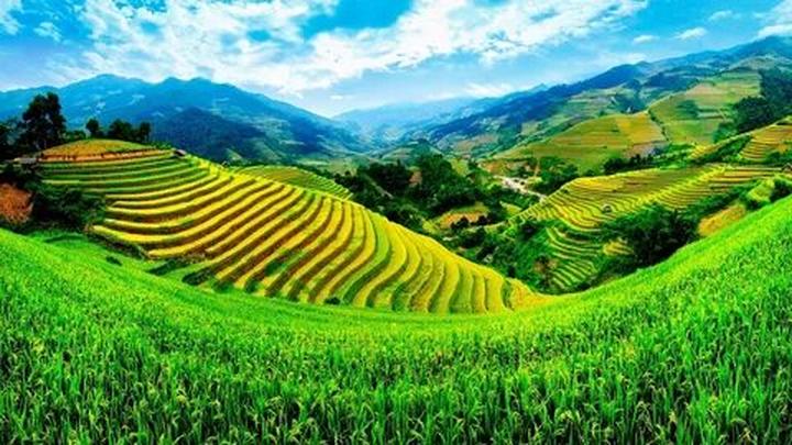 Bán Bảo Hiểm Thông Minh: Thu Hút Khách Hàng Qua Video Tư Vấn Trên Hotspot Matrix